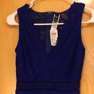Ladies Electric Blue Lace Dress